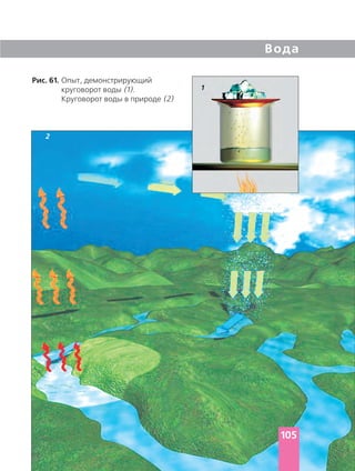 Вода
Рис. 61. Опыт, демонстрирующий
круговорот воды (1).
Круговорот воды в природе (2)
105
2
1
 