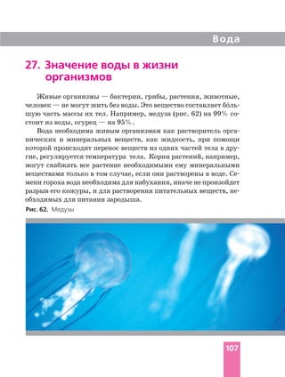 Вода
107
27. Значение воды в жизни
организмов
Живые организмы — бактерии, грибы, растения, животные,
человек — не могут жить без воды. Это вещество составляет бо´ль
шую часть массы их тел. Например, медуза (рис. 62) на 99% со
стоит из воды, огурец — на 95%.
Вода необходима живым организмам как растворитель орга
нических и минеральных веществ, как жидкость, при помощи
которой происходит перенос веществ из одних частей тела в дру
гие, регулируется температура тела. Корни растений, например,
могут снабжать все растение необходимыми ему минеральными
веществами только в том случае, если они растворены в воде. Се
мени гороха вода необходима для набухания, иначе не произойдет
разрыв его кожуры, и для растворения питательных веществ, не
обходимых для питания зародыша.
Рис. 62. Медузы
 