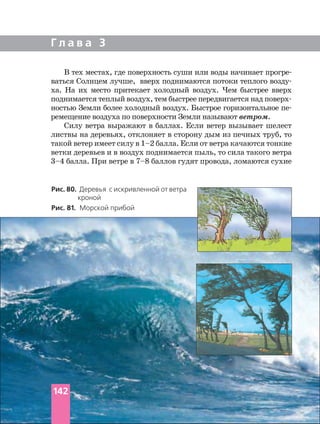 Г л а в а 3
В тех местах, где поверхность суши или воды начинает
ваться Солнцем лучше, вверх поднимаются потоки теплого
ха. На их место притекает холодный воздух. Чем быстрее вверх
ностью Земли более холодный воздух. Быстрое горизонтальное
ремещение воздуха по поверхности Земли называют ветром.
Силу ветра выражают в баллах. Если ветер вызывает шелест
листвы на деревьях, отклоняет в сторону дым из печных труб, то
такой ветер имеет силу в 1–2 балла. Если от ветра качаются тонкие
ветки деревьев и в воздух поднимается пыль, то сила такого ветра
3–4 балла. При ветре в 7–8 баллов гудят провода, ломаются сухие
Рис. 80. Деревья с искривленной от ветра
кроной
Рис. 81. Морской прибой
142
 