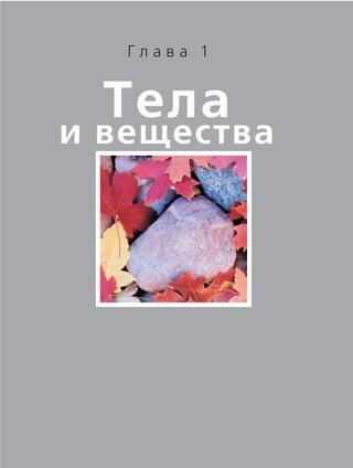 Г л а в а 1
Тела
и вещества
 