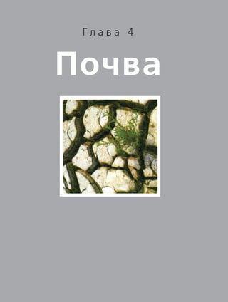Почва
Г л а в а 4
 