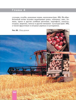 Г л а в а 4
ботанной почве человек выращивает рожь, пшеницу, овес,
мень, просо и другие хлебные растения, картофель, капусту,
огурцы, морковь, свеклу и другие овощные культуры (рис. 89),
а также фруктовые и ягодные деревья и кустарники.
Рис. 89. Сбор урожая
160
 