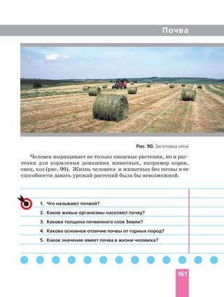 Почва
Рис. 90. Заготовка сена
1. Что называют почвой?
2. Какие живые организмы населяют почву?
3. Какова толщина почвенного слоя Земли?
4. Каково основное отличие почвы от горных пород?
5. Какое значение имеет почва в жизни человека?
тения для кормления домашних животных, например коров,
овец, коз (рис. 90). Жизнь человека и животных без почвы и ее
способности давать урожай растений была бы невозможной.
161
 