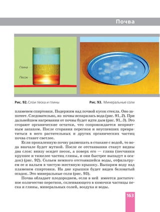 Почва
Рис. 92. Слои песка и глины Рис. 93. Минеральные соли
потеет. Следовательно, из почвы испарялась вода (рис. 91, 2). При
дальнейшем нагревании от почвы будет идти дым (рис. 91, 3). Это
сгорают органические остатки, что сопровождается
ным запахом. После сгорания перегноя и неуспевших
титься в него растительных и других органических частиц
почва станет светлее.
Если прокаленную почву размешать в стакане с водой, то
да вначале будет мутной. После ее отстаивания станут видны
два слоя: внизу осядет песок, а поверх его — глина (песчинки
крупнее и тяжелее частиц глины, и они быстрее выпадут в
док) (рис. 92). Сольем немного отстоявшейся воды,
ем ее и нальем в чистую жестяную крышку. Выпарим воду над
пламенем спиртовки. На дне крышки будет виден беловатый
осадок. Это минеральные соли (рис. 93).
Почва обладает плодородием, если в ней имеется
ное количество перегноя, склеивающего в комочки частицы
ска и глины, минеральных солей, воздуха и воды.
Глина
Песок
163
 