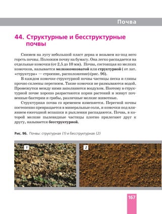 Почва
Снимем на лугу небольшой пласт дерна и возьмем него
горсть почвы. Положим почву на бумагу. Она легко распадается на
отдельные комочки (от 2,5 до 10 мм). Почва, состоящая из мелких
комочков, называется мелкокомковатой или структурной ( от лат.
«структура» — строение, расположение) (рис. 96).
В каждом комочке структурной почвы частицы песка и глины
прочно склеены перегноем. Такие комочки не размываются водой.
Промежутки между ними заполняются воздухом. Поэтому в
турной почве хорошо разрастаются корни растений и живут
венные бактерии и грибы, различные мелкие животные.
Структурная почва со временем изменяется. Перегной почвы
постепенно превращается в минеральные соли, и комочки под
янием ежегодной вспашки и рыхления распадаются. Почва, в
торой мелкие пылевидные частицы плотно прилегают друг к
другу, называется бесструктурной.
44. Структурные и бесструктурные
почвы
Рис. 96. Почвы: структурная (1) и бесструктурная (2)
1 2
167
 