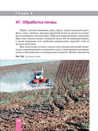 Г л а в а 4
47. Обработка почвы
Рис. 102. Вспашка почвы
Перед посевом пшеницы, ржи, проса, перед посадкой
феля, лука, чеснока, рассады растений почву на полях и в
дах вспахивают плугами (рис. 102) или перекапывают лопатами.
При этом пласты почвы толщиной около 25 см переворачивают,
а затем боронами или граблями разрыхляют верхний слой до
мелких комочков.
ходит перемешивание ее верхнего слоя и равномерное
ление в ней перегноя и минеральных веществ. Почва становится
176
 