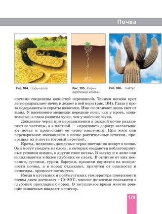 Почва
когтями соединены кожистой перепонкой. Такими ногами крот
та недоразвиты и скрыты волосами. Ими он отличает лишь свет от
тьмы. У насекомого медведки передние ноги, как у крота,
тельные, а глаза развиты хуже, чем у майского жука.
Дождевые черви при передвижении в рыхлой почве
гают ее частицы, а в плотной — «проедают» дорогу:
ют почву и пропускают ее через кишечник. При этом они
переваривают имеющиеся в почве растительные остатки,
вращая их в почти готовый перегной.
Кроты, медведки, дождевые черви постоянно живут в почве.
ные условия жизни, в другие слои почвы. В засуху и к зиме они
скапливаются в более глубоких ее слоях. В отличие от них
чанки, суслики, сурки, барсуки, кролики кормятся на
ности почвы, а в норах отдыхают, прячутся от опасности и
непогоды, приносят потомство.
Когда в пустынях и полупустынях температура поверхности
почвы днем достигает +70–80°С, многие животные спасаются в
глубоких прохладных норах. В засушливое время многие
щие животные впадают в спячку.
Рис. 104. Норы крота Рис. 105. Корни
верблюжей колючки
Рис. 106. Кактус
179
 