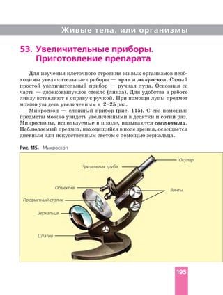 Живые тела, или организмы
53. Увеличительные приборы.
Приготовление препарата
Для изучения клеточного строения живых организмов
ходимы увеличительные приборы — лупа и микроскоп. Самый
простой увеличительный прибор — ручная лупа. Основная ее
часть — двояковыпуклое стекло (линза). Для удобства в работе
линзу вставляют в оправу с ручкой. При помощи лупы предмет
можно увидеть увеличенным в 2–25 раз.
Микроскоп — сложный прибор (рис. 115). С его помощью
предметы можно увидеть увеличенными в десятки и сотни раз.
Микроскопы, используемые в школе, называются световыми.
Наблюдаемый предмет, находящийся в поле зрения, освещается
дневным или искусственным светом с помощью зеркальца.
Окуляр
Предметный столик
Объектив
Винты
Штатив
Зеркальце
Рис. 115. Микроскоп
Зрительная труба
195
 