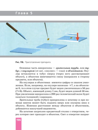Г л а в а 5
Основная часть микроскопа — зрительная труба, или
бус, с окуляром ( от лат. «окулюс» — глаз) и объективом.
ляр вставляется в тубус сверху (через него рассматривают
объект), а объектив ввинчивается снизу (направлен в сторону
предмета, или объекта).
На окулярах и объективах имеются цифры со знаком
жения. Если, например, на окуляре написано ×7, а на
ве 8, то в этом случае предмет будет виден увеличенным в 56 раз
(7×8). Объект, имеющий длину 1 мм, будет виден длиной 56 мм.
При увеличении микроскопа в 200 раз человеческий волос будет
казаться толщиной с карандаш.
Зрительная труба (тубус) прикреплена к штативу и при
мощи винтов может быть поднята вверх или опущена вниз к
объекту. Изменяя расстояние между объектом и объективом,
добиваются наилучшей видимости.
На штативе закреплен предметный столик с отверстием,
рез которое свет проходит в объектив. Свет в отверстие
Рис. 116. Приготовление препарата
196
 