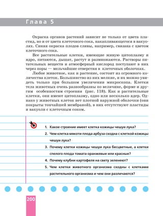 Г л а в а 5
1. Какое строение имеет клетка кожицы чешуи лука?
2. Чем клетка мякоти плода арбуза сходна с клеткой кожицы
чешуи лука?
3. Почему клетки кожицы чешуи лука бесцветные, а клетки
спелого плода томата оранжевые или красные?
4. Почему клубни картофеля на свету зеленеют?
5. Чем клетки животного организма сходны с клетками
растительного организма и чем они различаются?
Окраска органов растений зависит не только от цвета
лях. Синяя окраска плодов сливы, например, связана с цветом
клеточного сока.
Все растительные клетки, имеющие живую цитоплазму и
ядро, питаются, дышат, растут и размножаются. Растворы
тательных веществ и атмосферный кислород поступают в них
через поры — мельчайшие отверстия в клеточных оболочках.
Любое животное, как и растение, состоит из огромного
личества клеток. Большинство из них мелкие, и их можно
деть только при большом увеличении микроскопа. Клетки
тела животных очень разнообразны по величине, форме и
гим особенностям строения (рис. 118). Как и растительные
клетки, они имеют цитоплазму, одно или несколько ядер.
нако у животных клеток нет плотной наружной оболочки (они
покрыты тончайшей мембраной), в них отсутствуют пластиды
и вакуоли с клеточным соком.
200
 