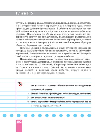 Г л а в а 5
1. Как называются клетки, образовавшиеся путем деления
материнской клетки?
2. Какие изменения происходят в клетке перед ее делением?
3. Как происходит деление клетки?
4. Каким образом от материнской клетки передаются все ее
свойства дочерним клеткам?
группы дочерних хромосом появляется новая ядерная оболочка,
и в материнской клетке образуются два дочерних ядра. Затем
происходит деление цитоплазмы. В области «экватора»
ной клетки между двумя дочерними ядрами появляется борозда
деления. Постепенно углубляясь, она полностью разделяет
теринскую клетку на две дочерние. В делящейся растительной
клетке посередине цитоплазмы возникает перегородка, а затем
возле нее каждая дочерняя клетка со своей стороны образует
оболочку (клеточную стенку).
Деление клетки с образованием двух дочерних, каждая из
которых получает такое же число хромосом, сколько было в
теринской, имеет важное значение — с хромосомами
ской клетки дочерним передаются все ее свойства.
После деления клетки растут, достигают размеров
ской и могут снова делиться. К делению способны не все клетки
живого организма. У растений, например, деление клеток
исходит в основном в точках (зонах) роста, имеющихся на
чиках корней, в верхней части побегов, между корой и
древесиной и в некоторых других местах.
202
 