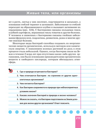 Живые тела, или организмы
1. Где в природе встречаются бактерии?
2. Чем отличаются бактерии по строению от других
клеточных организмов?
3. Чем питаются бактерии?
4. Как бактерии сохраняются в природе при неблагоприятных
условиях жизни?
5. Каково значение бактерий в природе и жизни человека?
6. Можно ли сказать, что бактерии подготовили на Земле
вия для жизни других организмов? Ответ поясните.
ют в росте, листья у них желтеют, скручиваются и засыхают, а
основания стеблей чернеют и загнивают. Заболевание со стеблей
переходит на образовавшиеся клубни и вызывает загнивание их
сердцевины (рис. 124). С бактериями связаны кольцевая гниль
клубней картофеля, вершинная гниль томатов и другие болезни.
У человека и животных с бактериями связаны гнойные
вания (фурункулез), скарлатина, ревматизм, рожа и многие
гие опасные болезни.
Некоторые виды бактерий способны создавать из
скую энергию. С появлением зеленых растений их роль в этом
процессе стала небольшой. Однако, когда бактерии жили на
ганизмов, они были основными производителями органических
веществ и свободного кислорода, которым обогащалась
сфера.
213
 