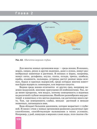 Г л а в а 2
108
Рис. 63. Обитатели морских глубин
Для многих живых организмов вода — среда жизни. В океанах,
морях, озерах, реках и других водоемах, даже в лужах, живут раз
нообразные животные и растения. В океанах и морях, например,
живут киты, дельфины, акулы, скаты, сельди, треска, камбала,
крабы, осьминоги, кальмары, устрицы; растут разные виды зеле
ных, бурых и красных водорослей, среди которых многим извест
ная бурая водоросль ламинария, или морская капуста.
Водная среда жизни отличается от других сред, например на
земно воздушной, многими присущими ей особенностями. Так, во
да менее прозрачна, чем воздух, поэтому освещенность в водоемах
наразличнойглубиненеодинакова.Наиболееразнообразенмиррас
тений и животных в тех местах водоемов, где достаточно много све
та. Там, где освещенность слабая, меньше растений и меньше
животных, питающихся ими.
Вода обладает большим давлением, которое возрастает с глуби
ной. В связи с этим у живых организмов развились различные при
способления, способствующие выживанию в таких условиях.
Например, у рыб, живущих в верхних слоях воды, тело сжатое с бо
Скат манта
Камбала
 