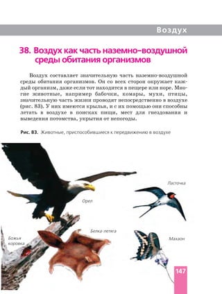 Воздух
Воздух составляет значительную часть
среды обитания организмов. Он со всех сторон окружает
дый организм, даже если тот находится в пещере или норе.
гие животные, например бабочки, комары, мухи, птицы,
значительную часть жизни проводят непосредственно в воздухе
(рис. 83). У них имеются крылья, и с их помощью они способны
летать в воздухе в поисках пищи, мест для гнездования и
выведения потомства, укрытия от непогоды.
38. Воздух как часть
среды обитания организмов
Рис. 83. Животные, приспособившиеся к передвижению в воздухе
Божья
коровка
Орел
Махаон
Ласточка
147
 