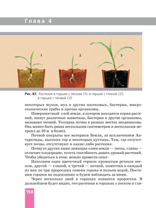 Г л а в а 4
некоторых жуков, мух и других насекомых, бактерии,
скопические грибы и прочие организмы.
ний, живут различные животные, бактерии и другие организмы,
называют почвой. Толщина почвы в разных местах неодинакова.
Она может быть равна нескольким сантиметрам и нескольким
трам ( до 10 м и более).
Почвой покрыты все материки Земли, за исключением
тарктиды, высоких гор и некоторых пустынь. Там, где
вует почва, отсутствуют и растения.
Почву от других ниже лежащих слоев земли — песка, глины—
отличает плодородие, то есть способность давать урожай растений.
Чтобы убедиться в этом, можно провести опыт.
Наполним один цветочный горшок промытым речным
ком, другой — глиной, а третий — почвой, поместим в каждый
из них по три проросших семени гороха и польем водой.
вим горшки на подоконник и будем наблюдать за ними.
Через несколько дней в горшках появятся проростки. В
Рис. 87. Растение в горшке с песком (1); в горшке с глиной (2);
в горшке с почвой (3)
1 2 3
158
 