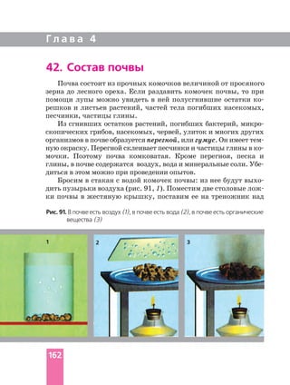Г л а в а 4
Почва состоит из прочных комочков величиной от просяного
зерна до лесного ореха. Если раздавить комочек почвы, то при
помощи лупы можно увидеть в ней полусгнившие остатки
решков и листьев растений, частей тела погибших насекомых,
песчинки, частицы глины.
Из сгнивших остатков растений, погибших бактерий,
скопических грибов, насекомых, червей, улиток и многих других
организмов в почве образуется перегной, или гумус. Он имеет
ную окраску. Перегной склеивает песчинки и частицы глины в
мочки. Поэтому почва комковатая. Кроме перегноя, песка и
диться в этом можно при проведении опытов.
Бросим в стакан с водой комочек почвы: из нее будут
дить пузырьки воздуха (рис. 91, 1). Поместим две столовые
ки почвы в жестяную крышку, поставим ее на треножник над
42. Состав почвы
Рис. 91. В почве есть воздух (1), в почве есть вода (2), в почве есть органические
вещества (3)
1 32
162
 