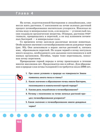 Г л а в а 4
1. При каких условиях в природе на поверхности Земли
появилось много песка и глины?
2. Какое значение в образовании почвы имели бактерии,
поселившиеся в измельченной горной породе?
3. Какова роль лишайников в почвообразовании?
4. Почему с поселением на почве зеленых растений
цесс почвообразования ускорился?
5. Какое значение в почвообразовании имели дождевые
черви?
На почве, подготовленной бактериями и лишайниками, уже
могли жить растения. С поселением на почве зеленых растений
процесс почвообразования значительно ускорился. Извлекая из
почвы воду и минеральные соли, а из воздуха — углекислый газ,
они создавали органические вещества. Отмирая, растения
гнивали, превращались в перегной, а он под влиянием
ных бактерий — в минеральные соли.
Со временем почву заселили различные мелкие животные.
Особо важное значение в почвообразовании имели дождевые черви
(рис. 95). Они затаскивали в норки листья растений и, питаясь
ими, образовывали перегной. По ходам червей в почву поступало
много воздуха, необходимого для дыхания поселившихся в ней
живых организмов. Погибая, черви тоже перегнивали,
няя почву перегноем.
Превращение горной породы в почву происходило в течение
многих миллионов лет. Продолжается оно и сейчас. Для
ния в природе слоя почвы толщиной 5 см требуется около 2000 лет.
166
 
