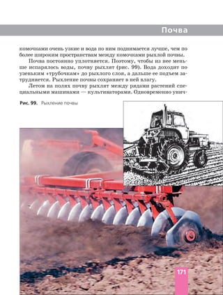 Почва
комочками очень узкие и вода по ним поднимается лучше, чем по
более широким пространствам между комочками рыхлой почвы.
Почва постоянно уплотняется. Поэтому, чтобы из нее
ше испарялось воды, почву рыхлят (рис. 99). Вода доходит по
узеньким «трубочкам» до рыхлого слоя, а дальше ее подъем
трудняется. Рыхление почвы сохраняет в ней влагу.
Летом на полях почву рыхлят между рядами растений
Рис. 99. Рыхление почвы
171
 