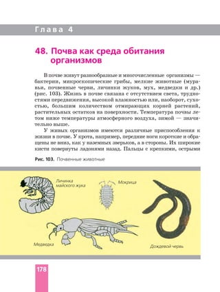 Г л а в а 4
В почве живут разнообразные и многочисленные организмы —
бактерии, микроскопические грибы, мелкие животные
вьи, почвенные черви, личинки жуков, мух, медведки и др.)
(рис. 103). Жизнь в почве связана с отсутствием света,
стями передвижения, высокой влажностью или, наоборот,
стью, большим количеством отмирающих корней растений,
растительных остатков на поверхности. Температура почвы
том ниже температуры атмосферного воздуха, зимой —
тельно выше.
У живых организмов имеются различные приспособления к
жизни в почве. У крота, например, передние ноги короткие и
щены не вниз, как у наземных зверьков, а в стороны. Их широкие
кисти повернуты ладонями назад. Пальцы с крепкими, острыми
48. Почва как среда обитания
организмов
Рис. 103. Почвенные животные
Личинка
майского жука
Медведка
Мокрица
Дождевой червь
178
 