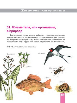 Живые тела, или организмы
51. Живые тела, или организмы,
в природе
Все основные среды жизни на Земле —
водная, почвенная, организменная — заселены самыми
ными организмами (рис. 110). Ряска трехдольная, плавающая на
поверхности воды пруда или озера, стрелолист обыкновенный,
Рис. 110. Живые тела, или организмы
Ласточка
Ряска
Стрелолист
Карась
Полевка
189
 