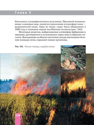 Г л а в а 5
бительного ультрафиолетового излучения. Причиной
вения «озоновых дыр» является накопление в атмосфере газов —
разрушителей озона. Одна из таких «дыр» была обнаружена в
1985 году в озоновом экране над Южным полюсом (рис. 135).
Некоторые вещества, выбрасываемые в атмосферу фабриками и
заводами, растворяются в охлажденных парах воды и образуют
слоты. Выпадающие на Землю кислотные дожди уничтожают
шие площади лесов, поражают живые организмы.
Рис. 133. Лесные пожары, вырубка лесов
230
 