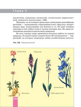 Г л а в а 5
Рис. 136. Редкие растения
двулистная, ятрышник пятнистый, колокольчик
ный, живокость высокая (рис. 136).
Причины, которых происходит уменьшение разнообразия
венных трав, использование для букетов и т.п. По вине человека
ежегодно в огне гибнут сотни и тысячи гектаров леса. На грани
чезновения находятся многие виды животных
Во всех странах мира проводится большая работа по охране
природы. В нашей стране создано более 50 заповедников —
риторий, на которых запрещена любая хозяйственная
Женьшень Любка двулистная
Колокольчик
ЯтрышникКупальница
232
 