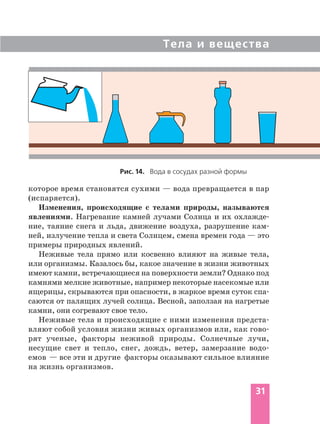 Тела и вещества
31
Рис. 14. Вода в сосудах разной формы
которое время становятся сухими — вода превращается в пар
(испаряется).
Изменения, происходящие с телами природы, называются
явлениями. Нагревание камней лучами Солнца и их охлажде
ние, таяние снега и льда, движение воздуха, разрушение кам
ней, излучение тепла и света Солнцем, смена времен года — это
примеры природных явлений.
Неживые тела прямо или косвенно влияют на живые тела,
или организмы. Казалось бы, какое значение в жизни животных
имеют камни, встречающиеся на поверхности земли? Однако под
камнями мелкие животные, например некоторые насекомые или
ящерицы, скрываются при опасности, в жаркое время суток спа
саются от палящих лучей солнца. Весной, заползая на нагретые
камни, они согревают свое тело.
Неживые тела и происходящие с ними изменения предста
вляют собой условия жизни живых организмов или, как гово
рят ученые, факторы неживой природы. Солнечные лучи,
несущие свет и тепло, снег, дождь, ветер, замерзание водо
емов — все эти и другие факторы оказывают сильное влияние
на жизнь организмов.
 