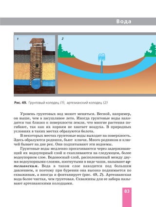 Уровень грунтовых вод может меняться. Весной, например,
он выше, чем в засушливое лето. Иногда грунтовые воды нахо
дятся так близко к поверхности земли, что многие растения по
гибают, так как их корням не хватает воздуха. В природных
условиях в таких местах образуются болота.
В некоторых местах грунтовые воды выходят на поверхность.
Здесь образуются родники, бьют ключи. Много родников и клю
чей бывает на дне рек. Они подпитывают эти водоемы.
Грунтовые воды медленно просачиваются через задерживаю
щий их водоупорный слой и скапливаются на следующем, более
водоупорном слое. Водоносный слой, расположенный между дву
мя водоупорными слоями, изогнутыми в виде чаши, называют ар
тезианским. Вода в таком слое находится под большим
давлением, и поэтому при бурении она высоко поднимается по
скважинам, а иногда и фонтанирует (рис. 49, 2). Артезианская
вода более чистая, чем грунтовая. Скважины для ее забора назы
вают артезианскими колодцами.
Вода
83
Рис. 49. Грунтовый колодец (1); артезианский колодец (2)
1 2
 