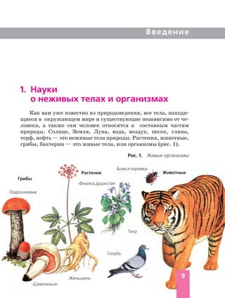 9
Введение
1. Науки
о неживых телах и организмах
Растения
Грибы
Животные
Рис. 1. Живые организмы
Как вам уже известно из природоведения, все тела, находя
щиеся в окружающем мире и существующие независимо от че
ловека, а также сам человек относятся к составным частям
природы. Солнце, Земля, Луна, вода, воздух, песок, глина,
торф, нефть — это неживые тела природы. Растения, животные,
грибы, бактерии — это живые тела, или организмы (рис. 1).
Голубь
Божья коровка
Тигр
Женьшень
Шампиньон
Подосиновик
Фиалка душистая
 