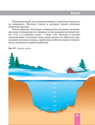 Подземные воды, не соприкасающиеся с морозным воздухом,
не замерзают. Поэтому ключи и родники зимой отепляют
наземные водоемы.
Таким образом, благодаря особенностям теплового расшире
ния воды температура ее в верхних слоях водоемов не бывает ни
же +1°С, а в глубоких слоях — ниже +4°С. Поэтому в течение
длинной зимы в водоемах подо льдом многие их обитатели про
должают активную жизнь, а рыболовы любители имеют возмож
ность заниматься зимней рыбалкой.
Вода
Рис. 57. Водоем зимой
95
0°C
+1°C
+2°C
+3°C
+4°C
+4°C
+4°C
 