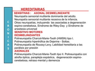 HEREDITARIAS
SENSITIVAS : AXONAL DESMIELINIZANTE
Neuropatía sensorial mutilante dominante del adulto.
Neuropatía sensorial mutilante recesiva de la infancia.
Otras neuropatías, incluyendo las asociadas a degeneración
espino-cerebelosa, Síndrome de Riley-Day y Síndrome de
anestesia universal
SENSITIVO MOTORES
DESMIELINIZANTES
Polineuropatía Charcot-Marie-Tooth (HMSN) tipo I.
Polineuropatía hipertrófica de Dejerine - Sottas.
Polineuropatía de Roussy-Levy. Labilidad hereditaria a las
parálisis por presión
AXONALES
Polineuropatía Charcot-Marie-Tooth tipo II. Polineuropatía con
atrofia óptica, paraplejia espástica, degeneración espino-
cerebelosa, retraso mental y demencia
C
R
O
N
I
C
A
S
 