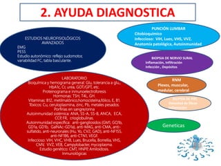 ESTUDIOS NEUROFISIOLÓGICOS
AVANZADOS
EMG
PESS
Estudio autonómico: reflejo sudomotor,
variabilidad FC, tabla basculante.
PUNCIÓN LUMBAR
Citobioquímico
Infeccioso: VIH, Lues, VHS, VVZ.
Anatomía patológica, Autoinmunidad
LABORATORIO
Bioquímica y hemograma general: Glu, tolerancia a glu,,
HbA1c, Cr, urea, GOT/GPT, etc.
Proteinograma e inmunoelectroforesis
Hormonas: TSH, T4L, GH.
Vitaminas: B12, metilmalónico,homocisteína,fólico, E, B1.
Tóxicos: Cu, ceruloplasmina, zinc, Pb, metales pesados.
Porfirias en sangre/orina
Autoinmunidad sistémica: ANA, SS-A, SS-B, ANCA, ECA,
CCP, FR, crioglobulinas.
Autoinmunidad específica: anti-gangliosidos (GM1, GQ1b,
GD1a, GD1b, GalNAc-GD1a), anti-MAG, anti-CMA, anti-
sulfatido, anti-neuronales (Hu, Yo, CV2, GAD), anti-NF155,
anti-NF186, anti-CTN1, VEGF.
Infeccioso: VIH, VHC, VHB, Lues, Brucella, Borrellia, VHS,
CMV, VVZ, VEB, Campylobacter, mycoplasma.
Estudio genético: CMT, HNPP, Amiloidosis.
Inmunológicas
BIOPSIA DE NERVIO SURAL
Inflamación, Infiltración
Infección , Depósitos
RNM
Plexos, muscular,
medular, cerebral
BIOPSIA DE PIEL
Densidad de fibras
Inflamación
2. AYUDA DIAGNOSTICA
Geneticas
 