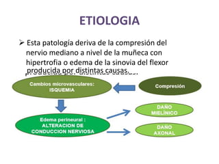 ETIOLOGIA
 Esta patología deriva de la compresión del
nervio mediano a nivel de la muñeca con
hipertrofia o edema de la sinovia del flexor
producida por distintas causas.
 