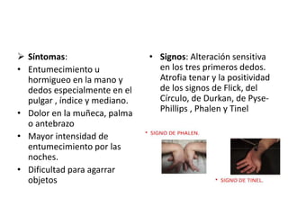  Síntomas:
• Entumecimiento u
hormigueo en la mano y
dedos especialmente en el
pulgar , índice y mediano.
• Dolor en la muñeca, palma
o antebrazo
• Mayor intensidad de
entumecimiento por las
noches.
• Dificultad para agarrar
objetos
• Signos: Alteración sensitiva
en los tres primeros dedos.
Atrofia tenar y la positividad
de los signos de Flick, del
Círculo, de Durkan, de Pyse-
Phillips , Phalen y Tinel
 