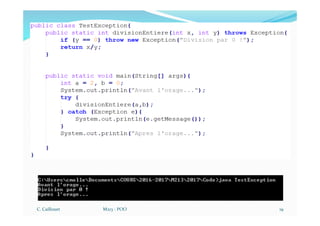C. Caillouet M213 - POO 19
 