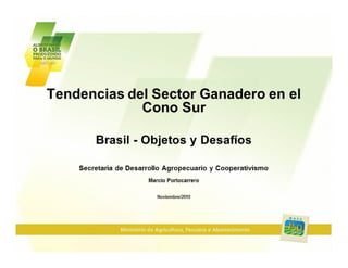Tendencias del sector pecuario en el Cono Sur. Retos y desafíos por país: Brasil