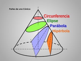 Partes de una Cónica 
