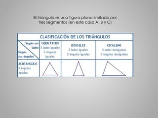 El triángulo es una figura plana limitada por 
tres segmentos (en este caso A, B y C) 
 
