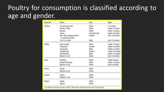 Poultry for consumption is classified according to
age and gender.
 
