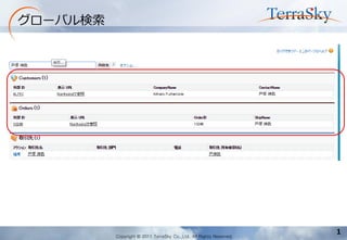 Copyright © 2011 TerraSky Co.,Ltd. All Rights Reserved. 
1 
グローバル検索  