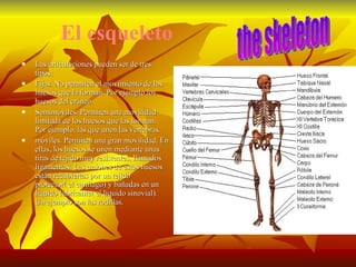 El esqueleto Las articulaciones pueden ser de tres tipos: Fijas. No permiten el movimiento de los huesos que la forman. Por ejemplo los huesos del cráneo. Semimóviles. Permiten una movilidad  limitada de los huesos que las forman. Por ejemplo, las que unen las vértebras. móviles. Permiten una gran movilidad. En ellas, los huesos se unen mediante unas tiras de tejido muy resistentes, llamados ligamentos. Las uniones de estos huesos están recubiertas por un tejido protector( el cartílago) y bañadas en un líquido lubricante( el liquido sinovial). Un ejemplo son las rodillas. the skeleton 
