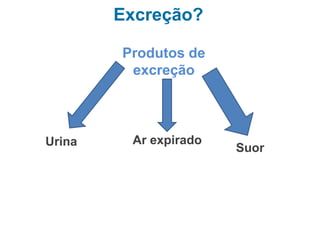 Excreção?
Produtos de
excreção
Urina Ar expirado
Suor
 