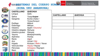 Chunchul 5 PPT CURSO QUECHUA 2024 DRE HVCA (1).pptx