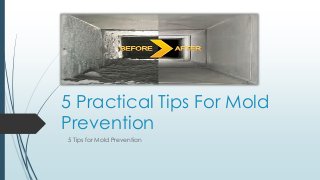 5 Practical Tips For Mold
Prevention
5 Tips for Mold Prevention
 