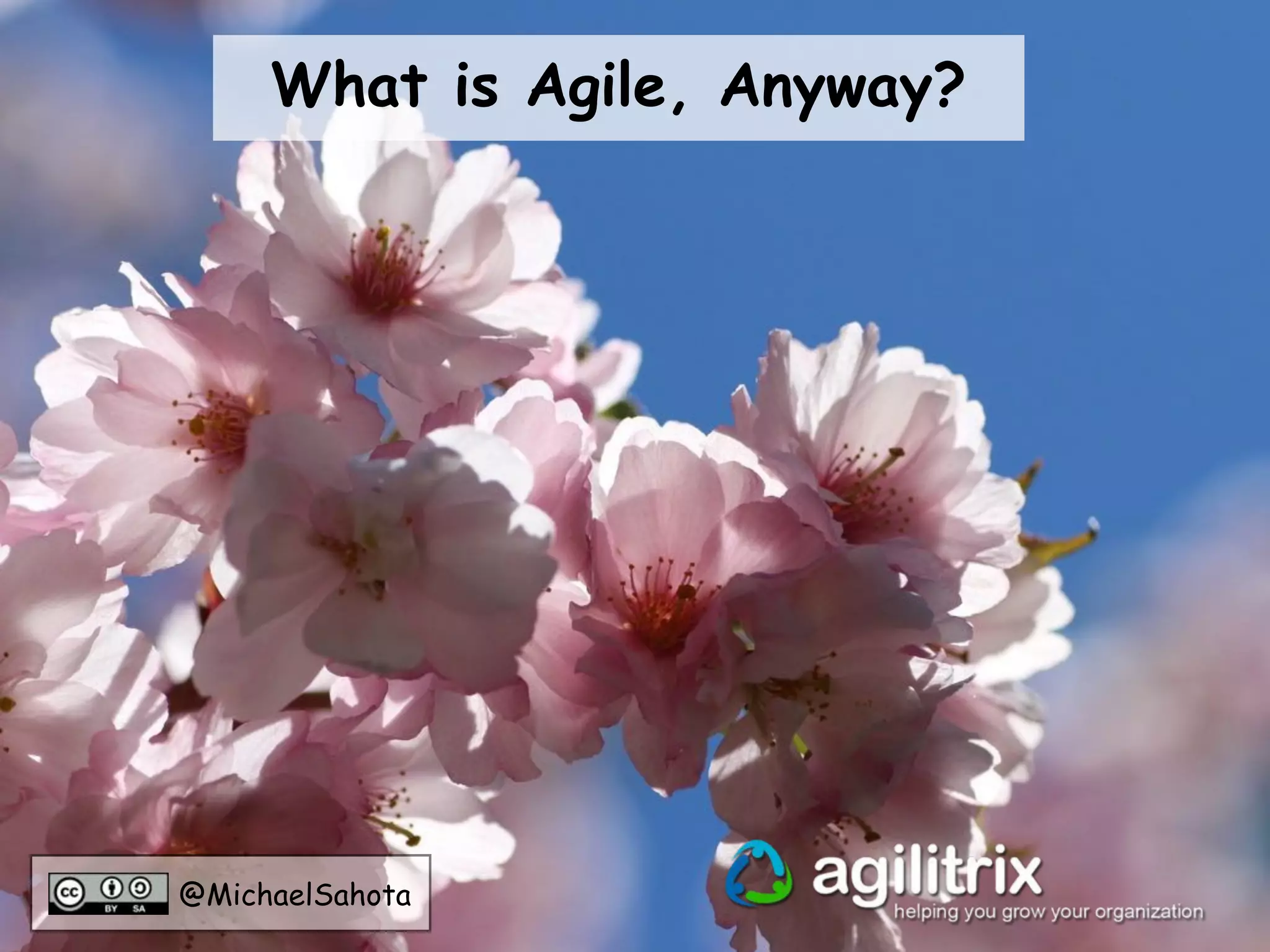 @MichaelSahota
What is Agile, Anyway?
 