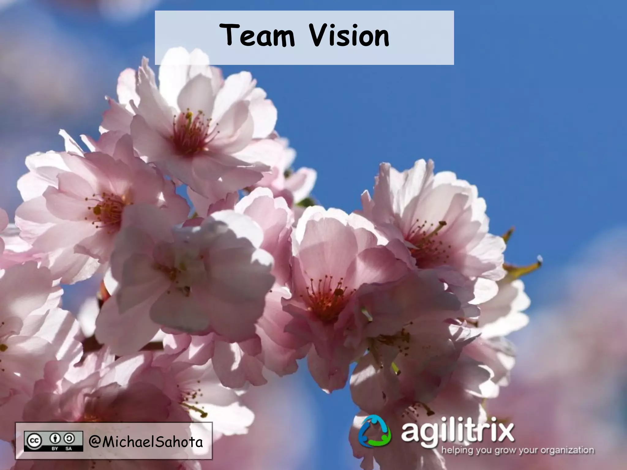 @MichaelSahota
Team Vision
 