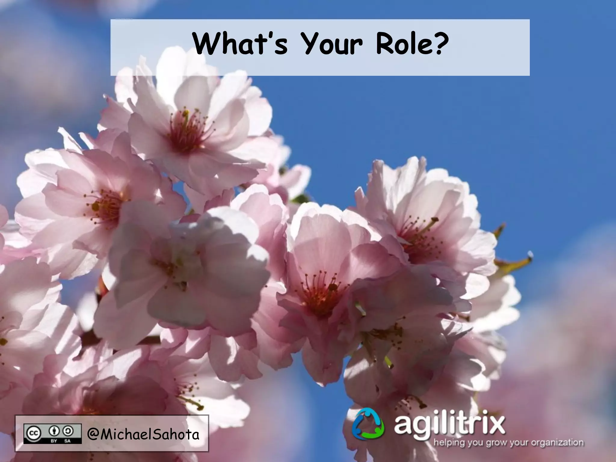 @MichaelSahota
What’s Your Role?
 