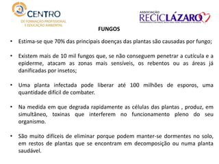 • Estima-se que 70% das principais doenças das plantas são causadas por fungo;
• Existem mais de 10 mil fungos que, se não conseguem penetrar a cutícula e a
epiderme, atacam as zonas mais sensíveis, os rebentos ou as áreas já
danificadas por insetos;
• Uma planta infectada pode liberar até 100 milhões de esporos, uma
quantidade difícil de combater.
• Na medida em que degrada rapidamente as células das plantas , produz, em
simultâneo, toxinas que interferem no funcionamento pleno do seu
organismo.
• São muito difíceis de eliminar porque podem manter-se dormentes no solo,
em restos de plantas que se encontram em decomposição ou numa planta
saudável.
FUNGOS
 