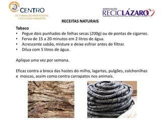 RECEITAS NATURAIS
Tabaco
• Pegue dois punhados de folhas secas (200g) ou de pontas de cigarros.
• Ferva de 15 a 20 minutos em 2 litros de água.
• Acrescente sabão, misture e deixe esfriar antes de filtrar.
• Dilua com 5 litros de água.
Aplique uma vez por semana.
Eficaz contra a broca das hastes do milho, lagartas, pulgões, colchonilhas
e moscas, assim como contra carrapatos nos animais.
 