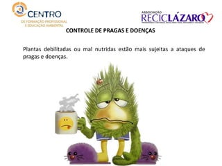 CONTROLE DE PRAGAS E DOENÇAS
Plantas debilitadas ou mal nutridas estão mais sujeitas a ataques de
pragas e doenças.
 